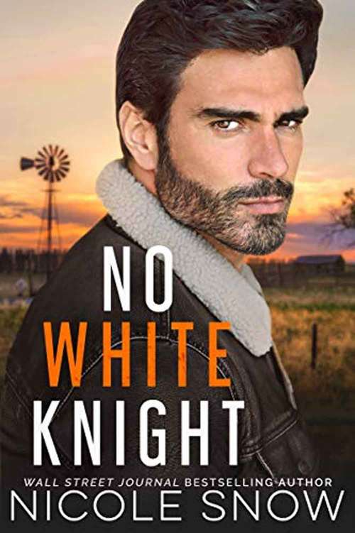 Book cover of No White Knight