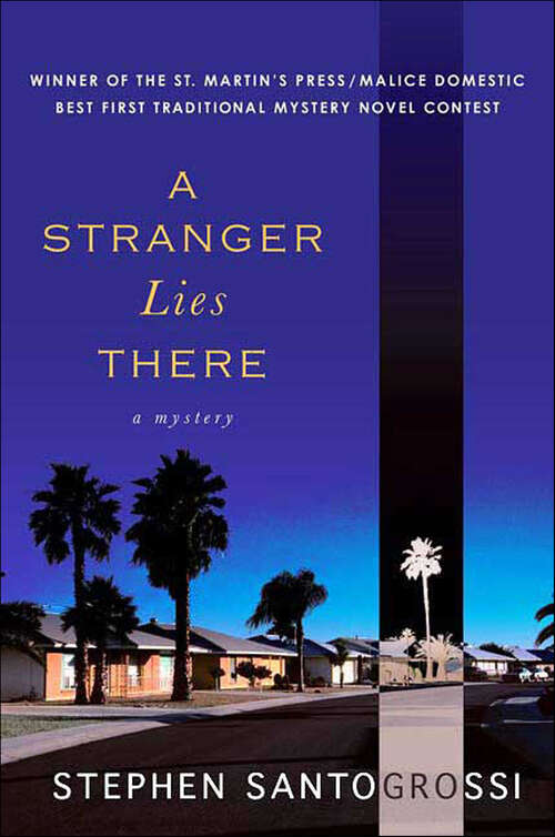 Book cover of A Stranger Lies There: A Mystery
