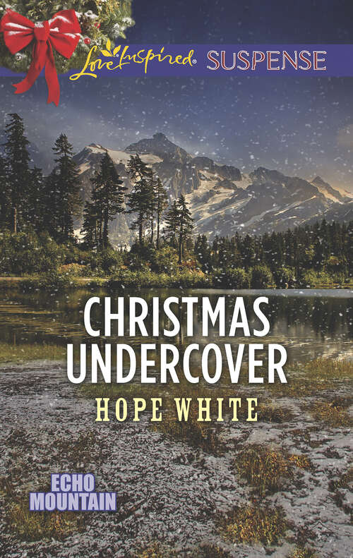 Book cover of Christmas Undercover