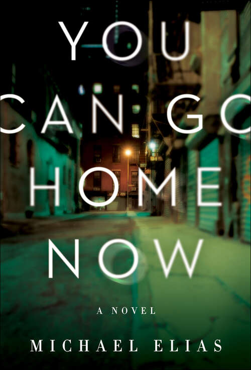 Book cover of You Can Go Home Now: A Novel