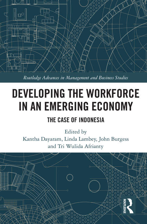 Developing the Workforce in an Emerging Economy: The Case of Indonesia (Routledge Advances in Management and Business Studies)