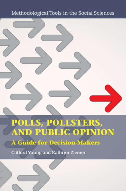 Book cover of Polls, Pollsters, and Public Opinion: A Guide for Decision-Makers (Methodological Tools in the Social Sciences)