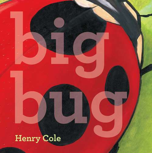 Book cover of Big Bug
