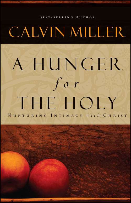 Book cover of A Hunger for the Holy