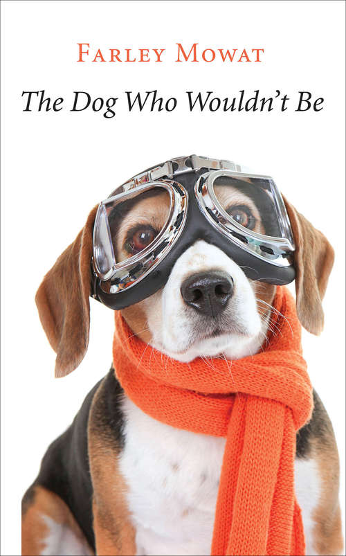 Book cover of The Dog Who Wouldn't Be: Penguin Modern Classics Edition (Juvenil Alfaguara Ser.)