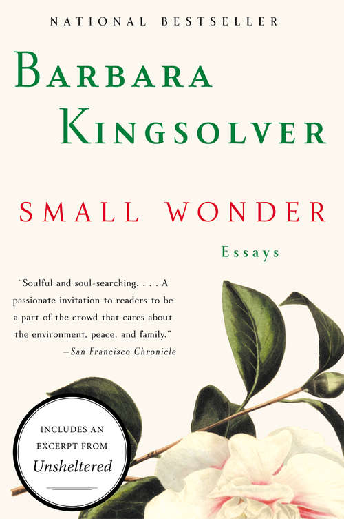 Book cover of Small Wonder