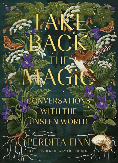Book cover of Take Back the Magic: Conversations with the Unseen World