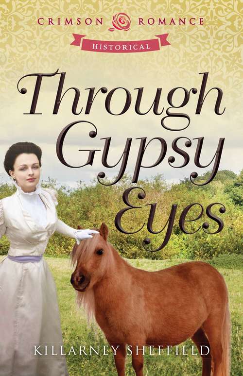 Book cover of Through Gypsy Eyes