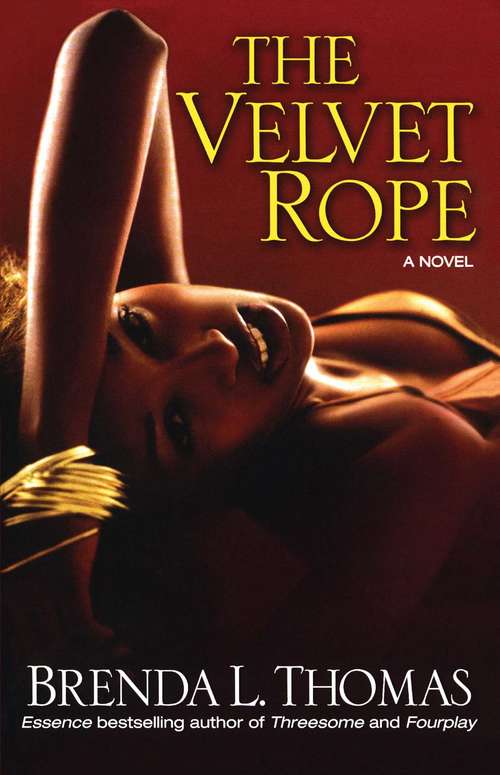 Book cover of The Velvet Rope: A Novel
