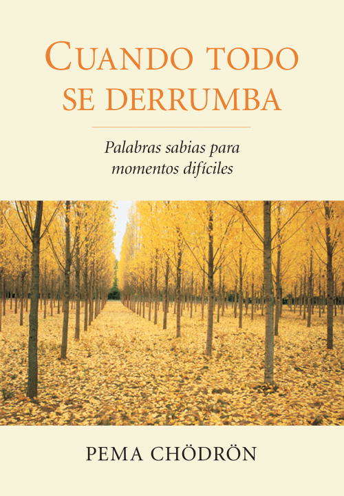 Book cover of Cuando todo se derrumba: Palabras sabias para momentos dificiles