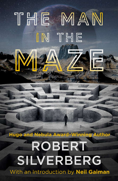 Book cover of The Man in the Maze