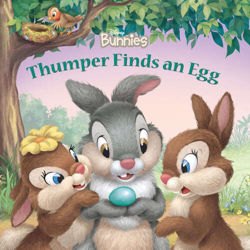 Book cover of Thumper Finds an Egg