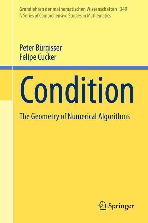 Book cover of Condition: The Geometry of Numerical Algorithms (Grundlehren der mathematischen Wissenschaften #349)