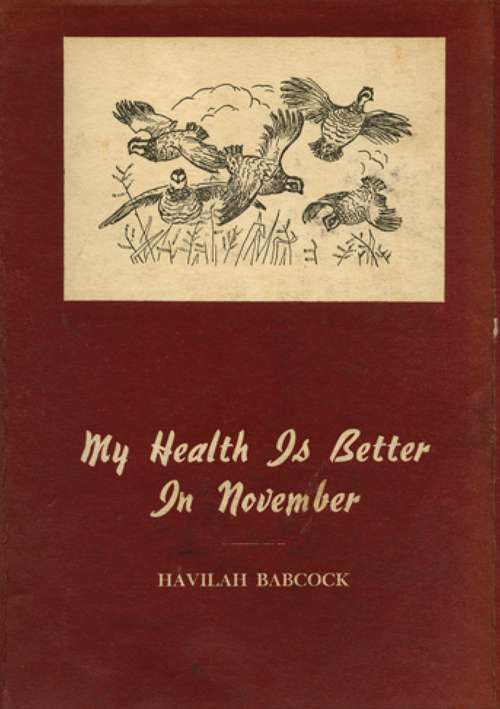 Book cover of My Health is Better in November: Thirty-Five Stories of Hunting and Fishing in the South
