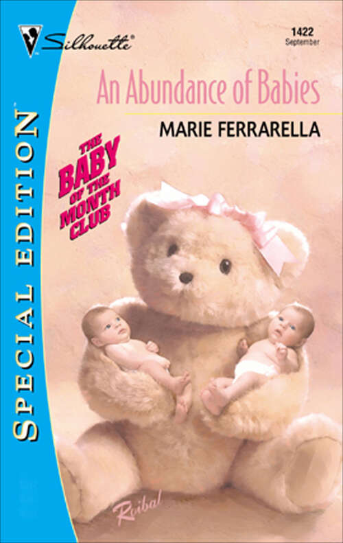 Book cover of An Abundance of Babies (The Baby of the Month Club #3)