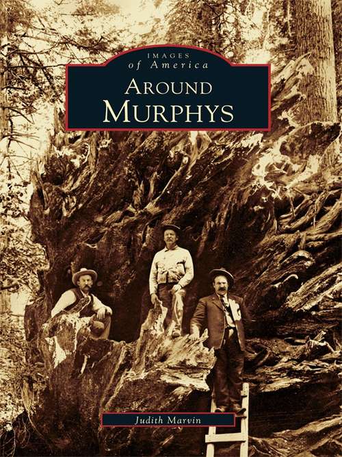 Book cover of Around Murphys