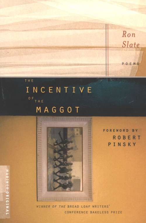 Book cover of The Incentive of the Maggot