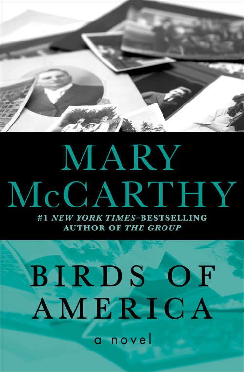 Book cover of Birds of America: A Novel
