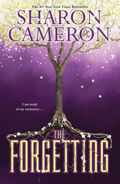 Book cover of The Forgetting