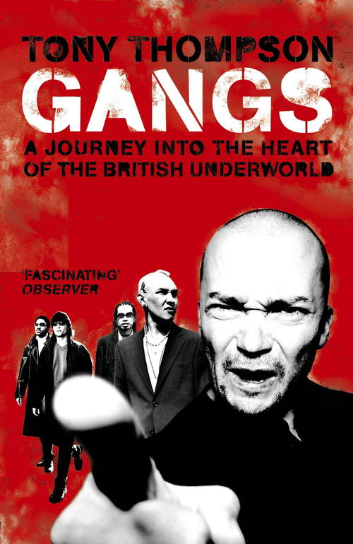 Book cover of Gangs