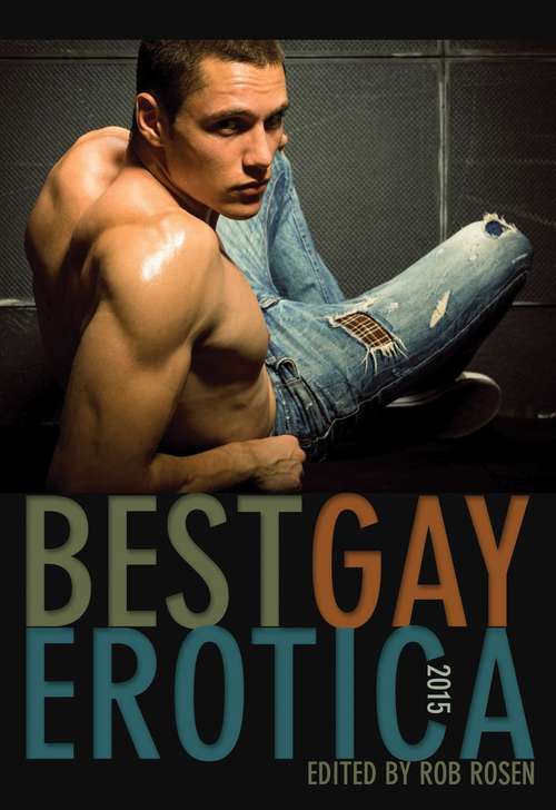 Book cover of Best Gay Erotica 2015