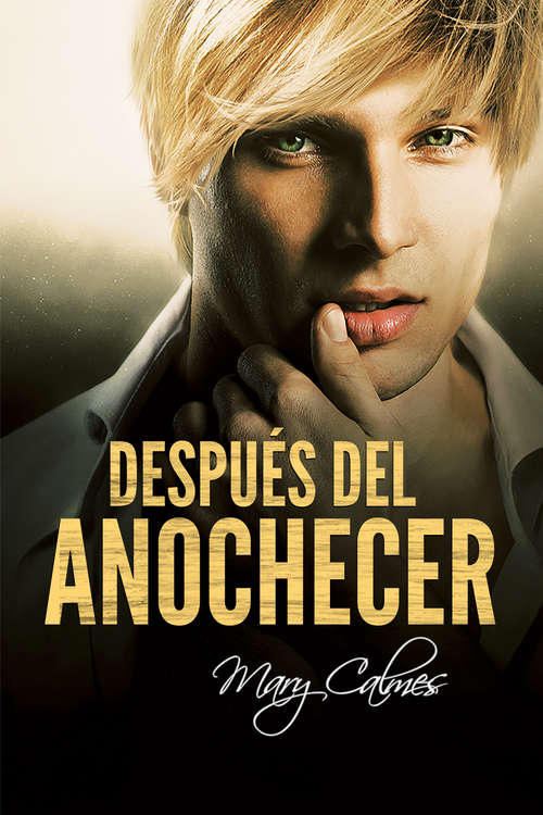Book cover of Después del anochecer