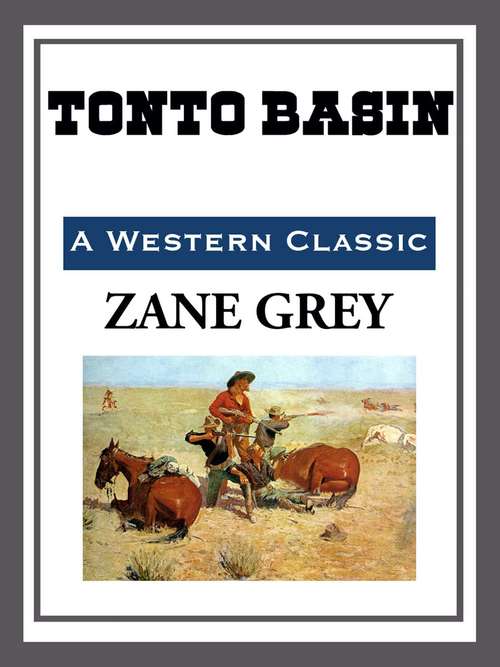 Book cover of Tonto Basin