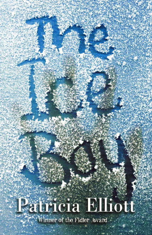 Book cover of The Ice Boy