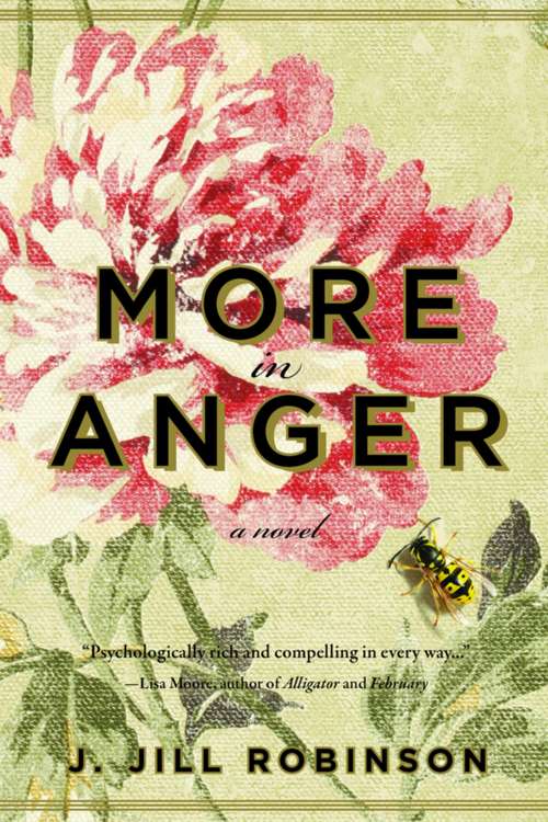 Book cover of More in Anger: A Novel