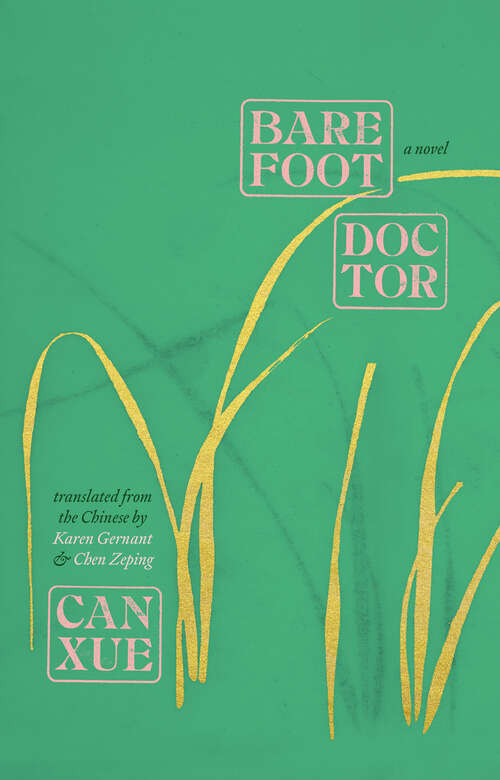 Barefoot Doctor: A Novel (The Margellos World Republic of Letters)