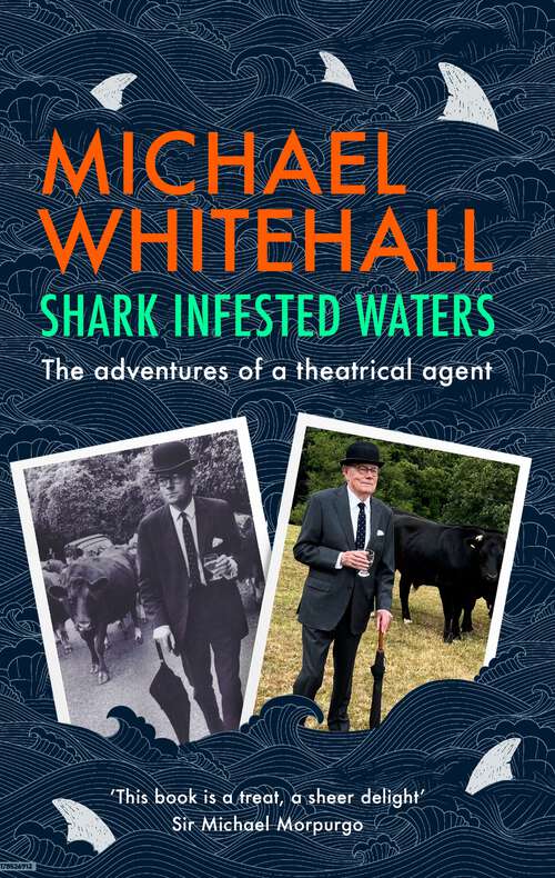 Book cover of Shark-Infested Waters