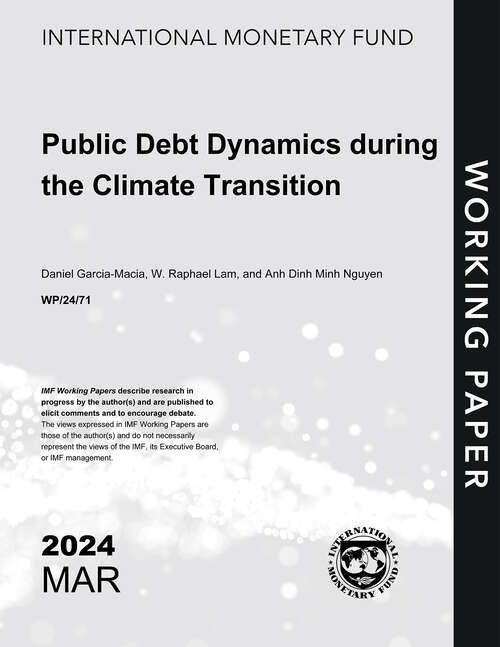 Book cover of Public Debt Dynamics During the Climate Transition