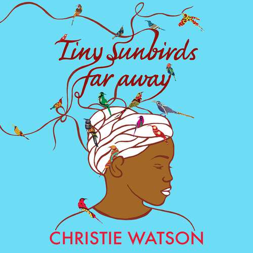 Book cover of Tiny Sunbirds Far Away: Winner of the Costa First Novel Award, from the author of The Language of Kindness