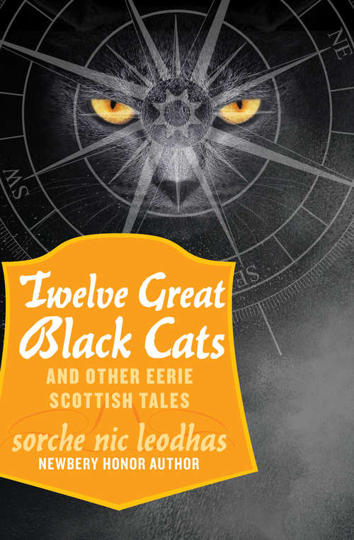 Book cover of Twelve Great Black Cats