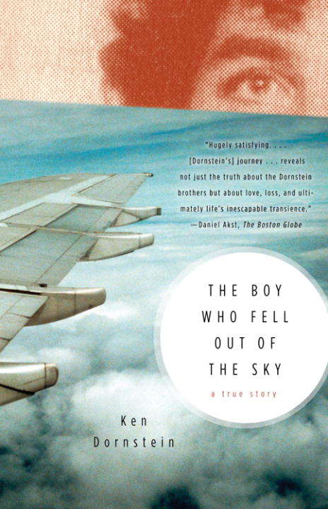 Book cover of The Boy Who Fell Out of the Sky: A True Story
