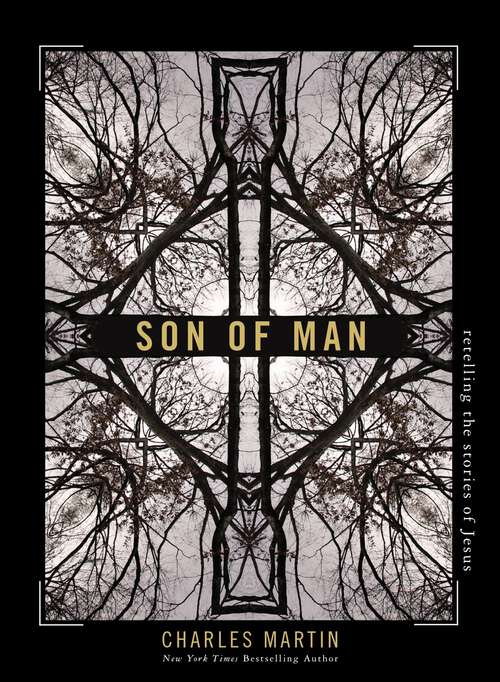 Book cover of Son of Man: Retelling the Stories of Jesus