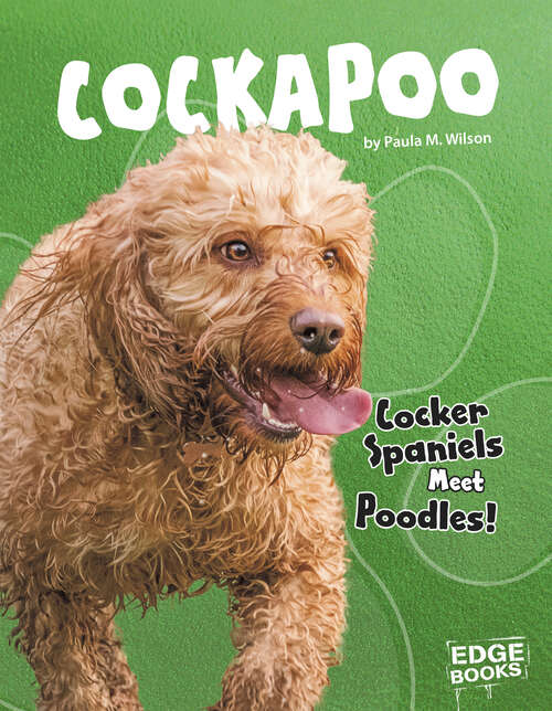Cockapoo: Cocker Spaniels Meet Poodles! (Top Hybrid Dogs Ser.)