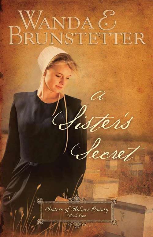 A Sister's Secret (Sisters of Holmes County #1)