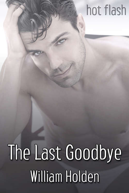 Book cover of The Last Goodbye (Hot Flash)