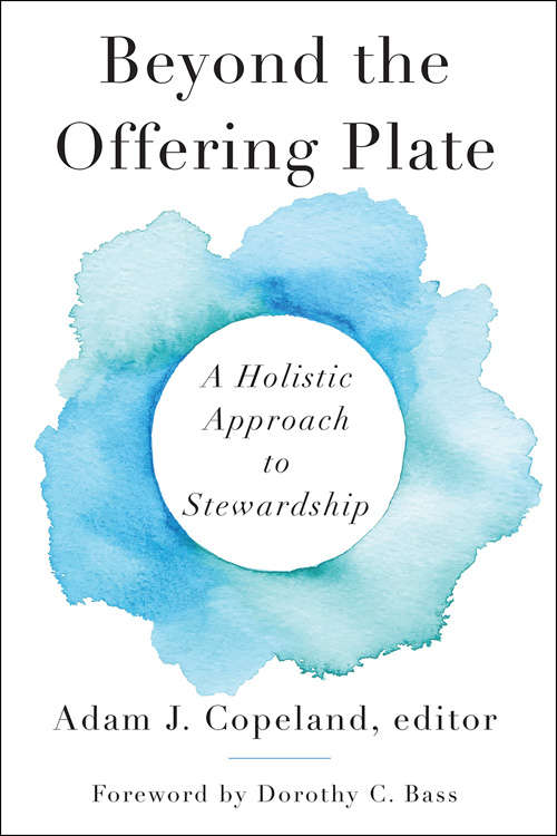 Book cover of Beyond the Offering Plate: A Holistic Approach To Stewardship