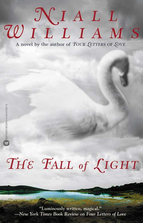 Book cover of The Fall of Light