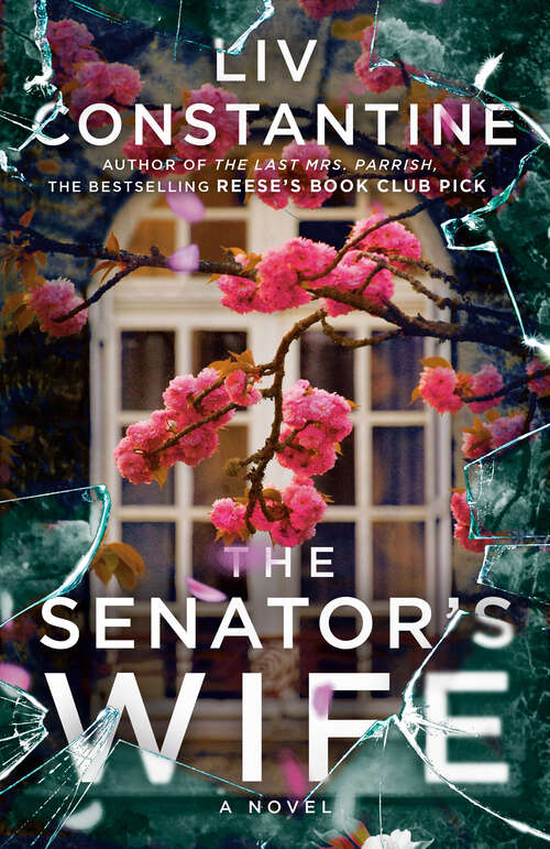 Book cover of The Senator's Wife: A Novel
