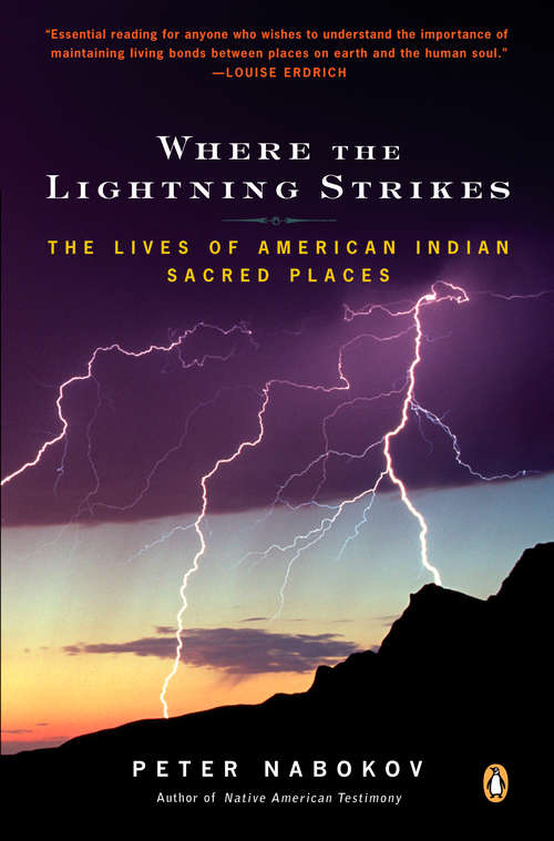 Book cover of Where the Lightning Strikes