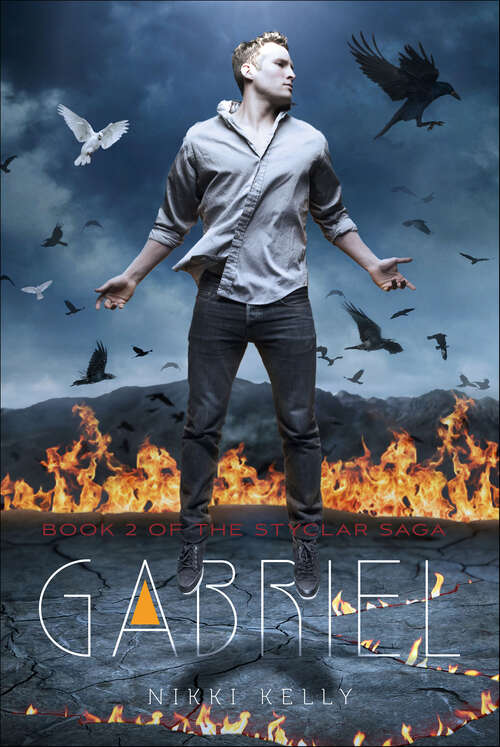 Book cover of Gabriel (The Styclar Saga)