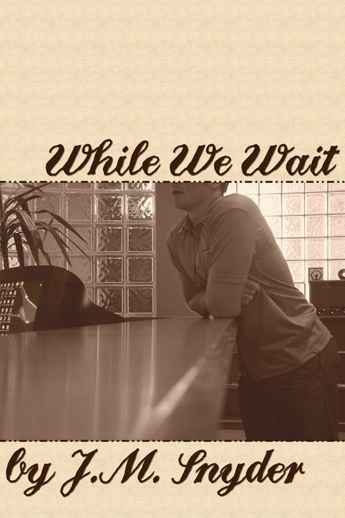 Book cover of While We Wait