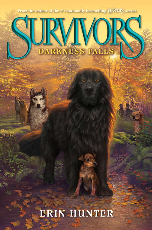 Book cover of Darkness Falls (Survivors #3)