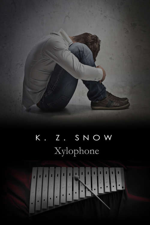 Book cover of Xylophone