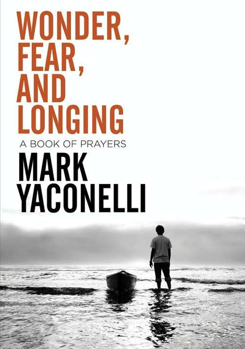 Book cover of Wonder, Fear, and Longing: A Book of Prayers