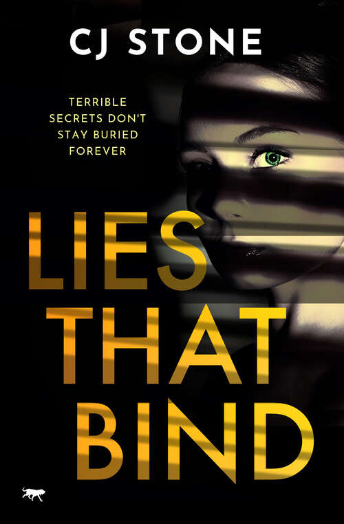 Book cover of Lies That Bind