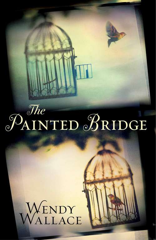 Book cover of The Painted Bridge